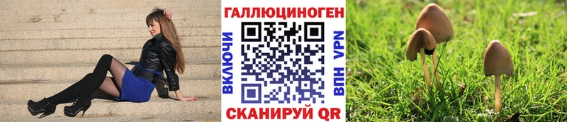 Галлюциногенные грибы Psilocybine cubensis  mega как войти  Ртищево 